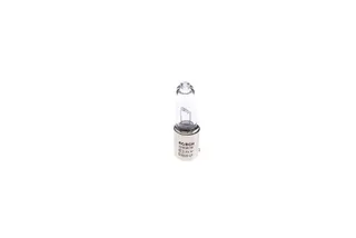 Ampul - Trucklight - 24 V - H21w - 21 W - Bay9s