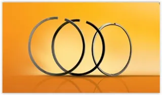 FM 06-838907.00 Segman 93.0 Mm 143ps 0,50 Ranger/Mazda Bt50