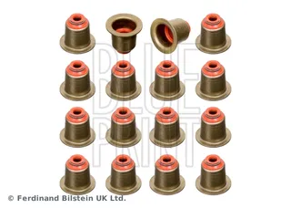 Supap Lastigi Set Bmw M47 M67 Freelander I M47 204d3 (L314) 2.0 Td4 Rover 75 1999->