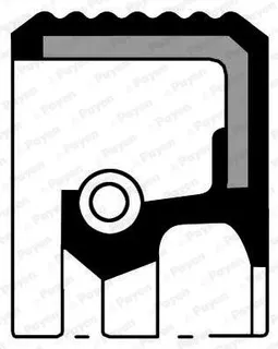 PAYEN NA5255 Krank Mil Keçesi Renault Clio-Fluence-Kangoo-Laguna-Megane-Modus-Scenic-Duster-Logan-Sandero 1.5 Dci 35x47x7 8200166466