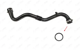 NIFEA 11365 Turbo Borusu Contasi Renault Grand Scenic Ii Jm0.1 1.5 Dci K9k 734 06-08