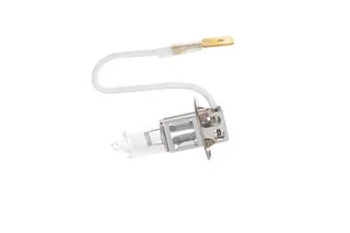 24v H3 70w Halogen Ampul Eco Truck Pk22s